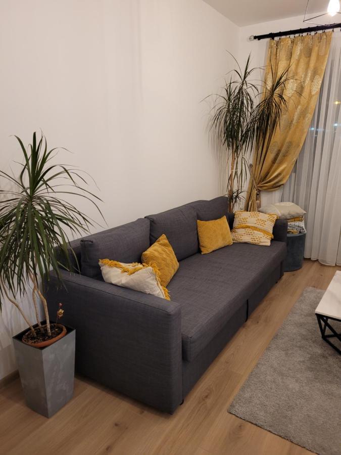 Apartament 4Qualis Braszów Zewnętrze zdjęcie